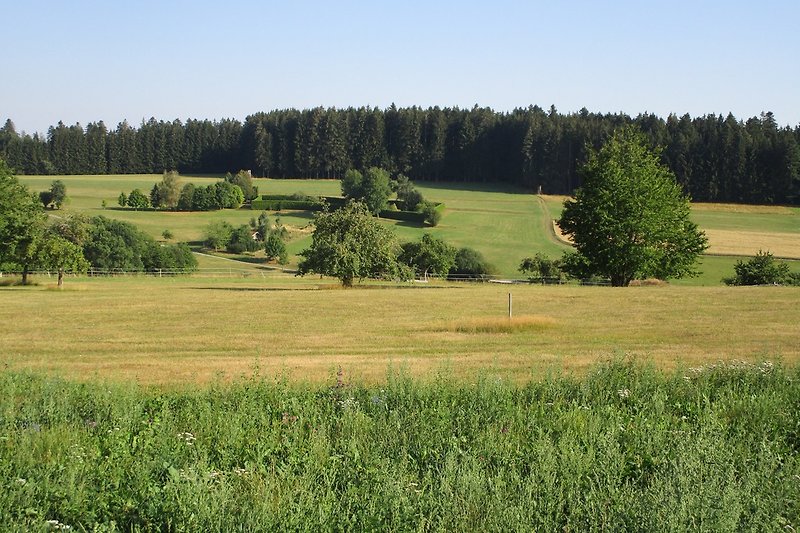 Grömbach: umgeben von Wald und Wiesen