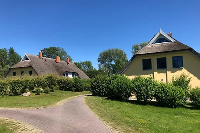 4**** casa di paglia con sauna e camino