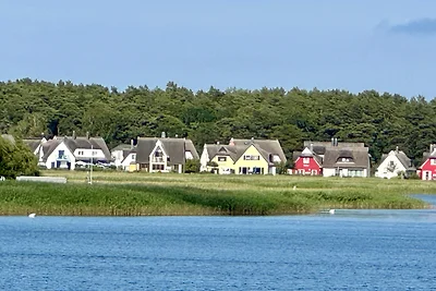 Strandvogt