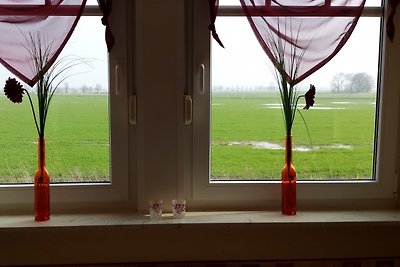 Nordseesonne + Nordseewelle 