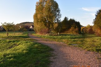 Wissberg