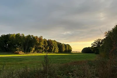 Vakantiehuis Seestern Karlshagen