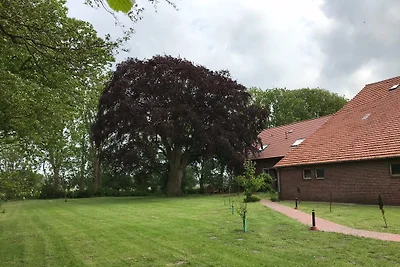 Nordseeküste Wangerland FeWo 1 oben