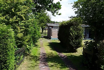 Eureka nr 81..