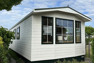 Chalet Fazant 424  in Renesse