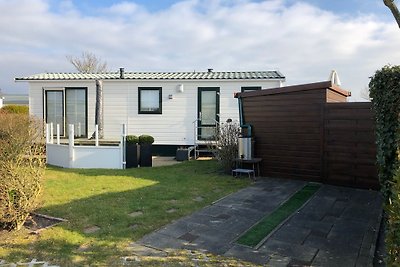 Chalet Fazant 424  in Renesse