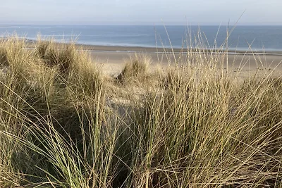 Chalet Fazant 424  in Renesse