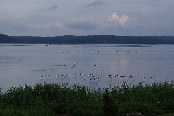 Ferienwohnung Plau am See