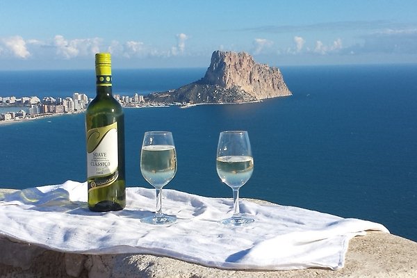 Mr. V. Costa Blanca Mr. V. Costa Blanca