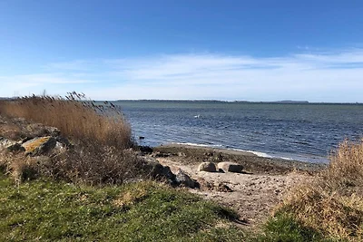 Boddenblick EG 100 m dall'acqua