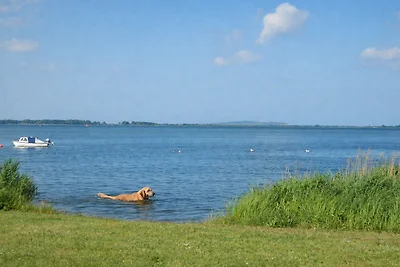 Fewo Rotdornweg OG 500 m zum Wasser