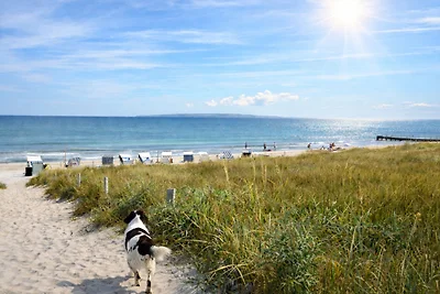 Exklusive  Ferienwohnung in Binz