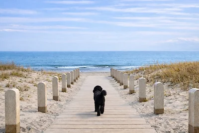1. Reihe, direkte Strandlage, Fewo Nixe Juliusruh