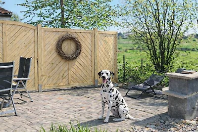 Boddenblick EG 100 m zum Wasser