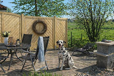 Boddenblick EG 100 m zum Wasser