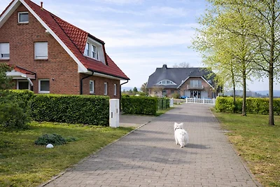 Boddenblick EG 100 m zum Wasser