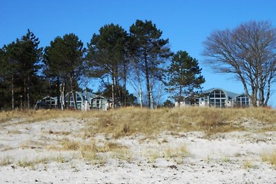 1. Reihe, direkte Strandlage, Fewo Nixe Juliusruh