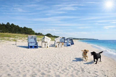 1. Reihe, direkte Strandlage, Fewo Nixe Juliusruh