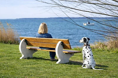 Boddenblick EG 100 m zum Wasser