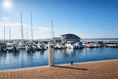 Boddenblick EG 100 m zum Wasser