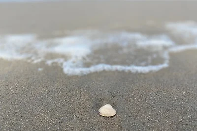 Ferienhaus "Ella am See"