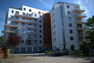 Rolli-Holiday-Kolberg