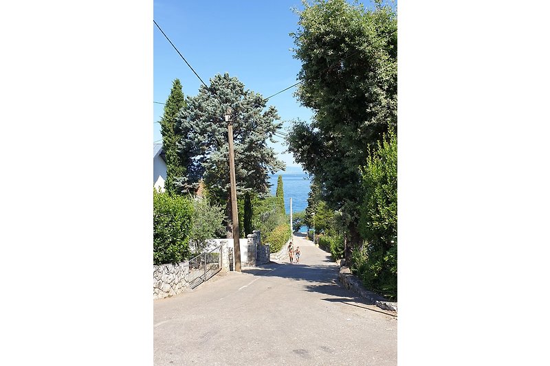 Way to the beach (80m walking distance)