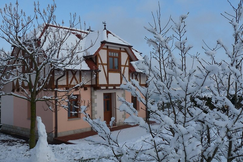 Villa Taubenberg Winter