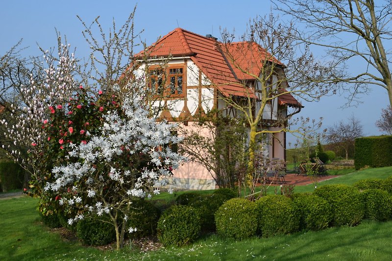 Garten Villa Taubenberg Frühling