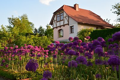 Villa Taubenberg Landhuis