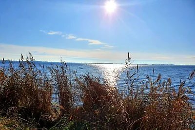 Direzione bug verso Bodden. Direzione bug verso Bodden.