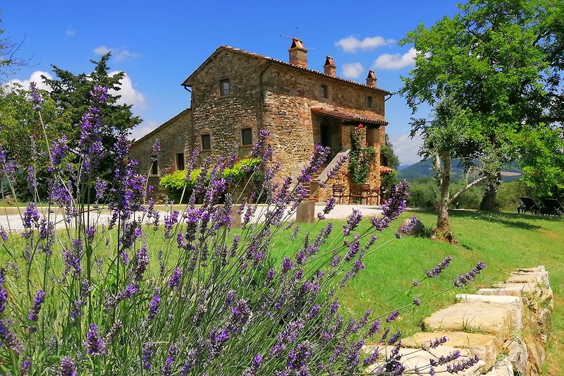 Villa Acadirospi, umgeben von Lavendelfeldern und üppigem Grün.