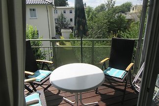 Strandflieder