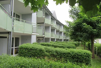 Lavanda marina