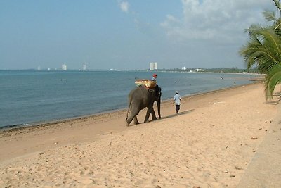 Goed onderhouden klein vakantiehuis