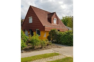 Meeresleuchten