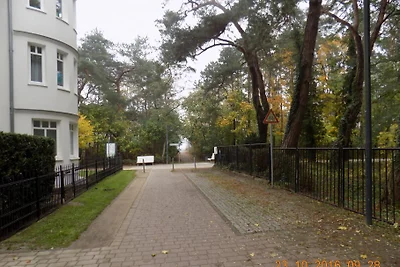 Fewo Ostseetraum -1. Reihe