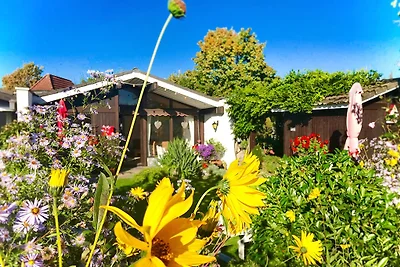 Ferienchalet Wiki - Bodensee