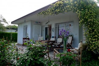 Casa Mia