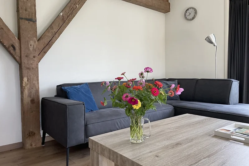 Gezellig woonkamer met ruime bank