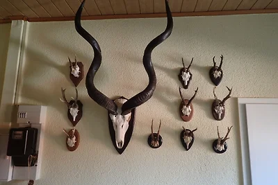 Ferienwohnung Zessin
