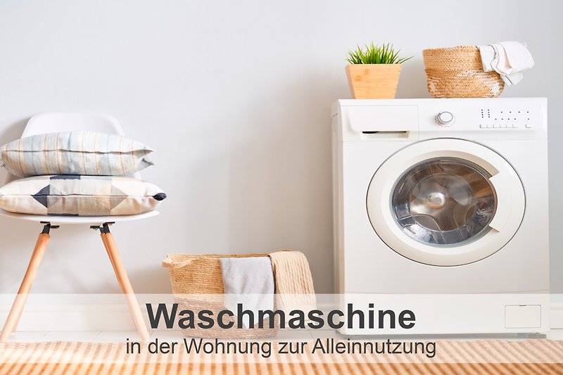 Wäscheraum mit Waschmaschine, Trockner und Pflanze.