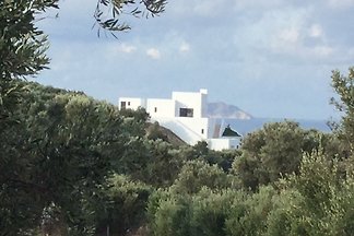 Villa Malo