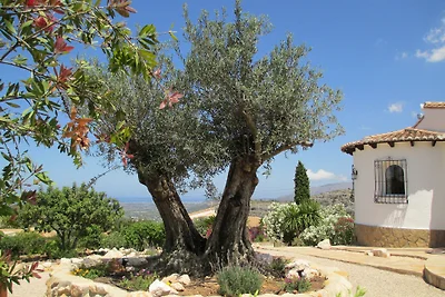 Villa Montebello