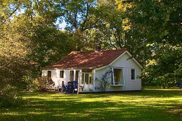Ferienhaus Vrouwenpolder