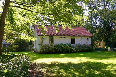 De Duinvink