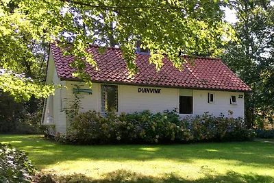 De Duinvink