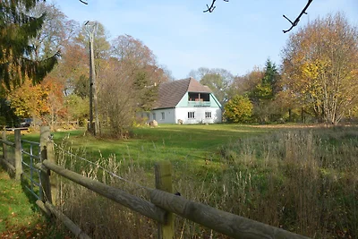 Casa padronale Wahlendow