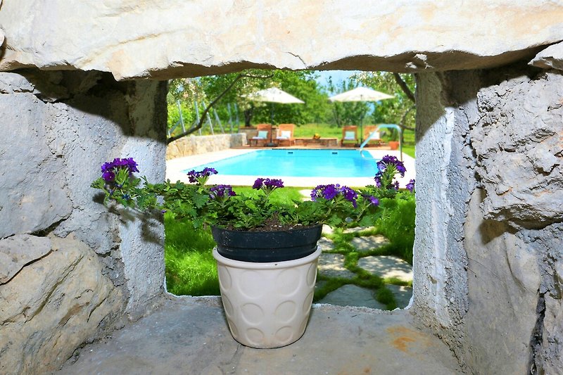 Pool der Villa Kucica