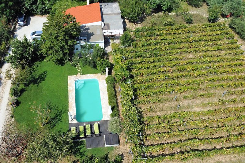 Villa Kucica Pool, Weinberg und Garten